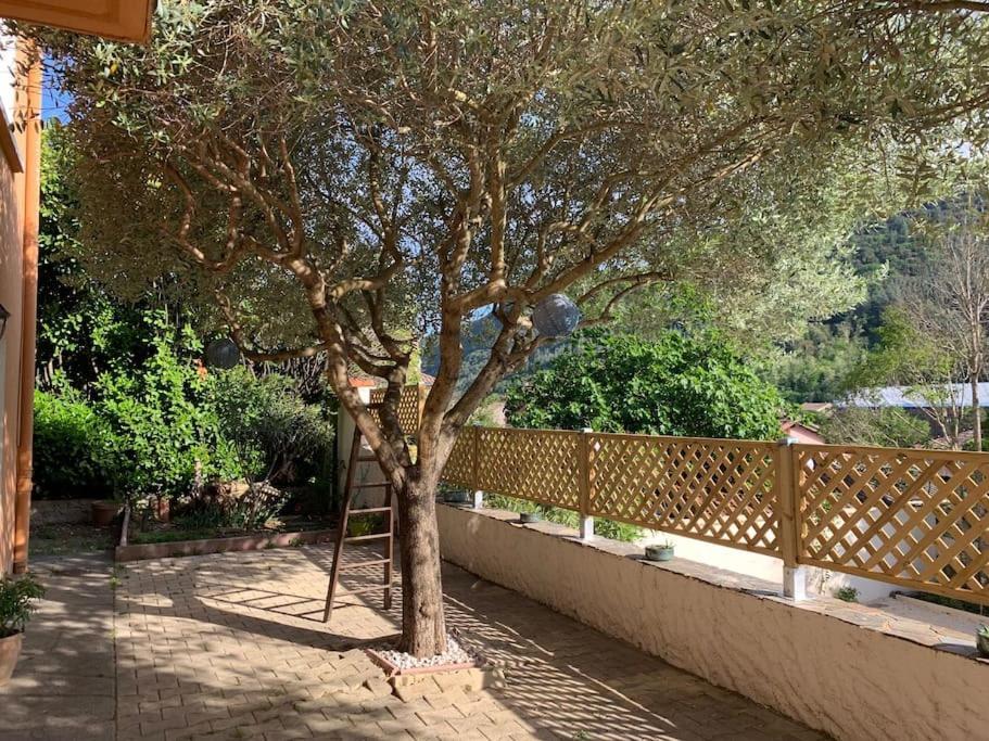 Villa Avec Piscine Dans Les Cevennes Bessèges Kültér fotó